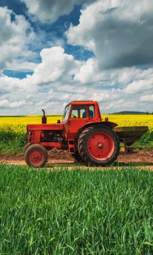 Traktor Field Work kéztörlő arctörlő, törölköző 30x50cm 